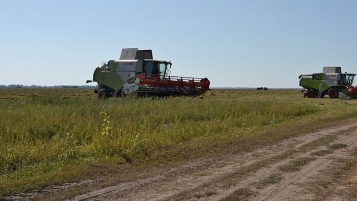 Уборка льна