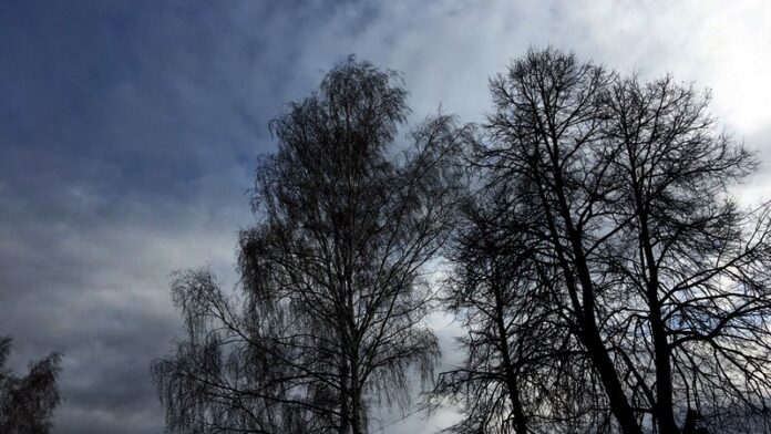 photo_2022-04-21_16-17-10