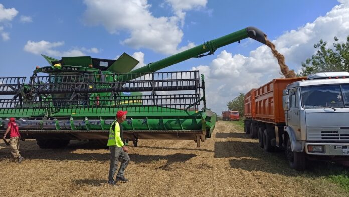 IMG_20230804_113752_новый размер