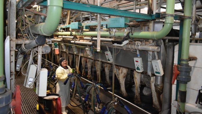 DSC_0143_новый размер