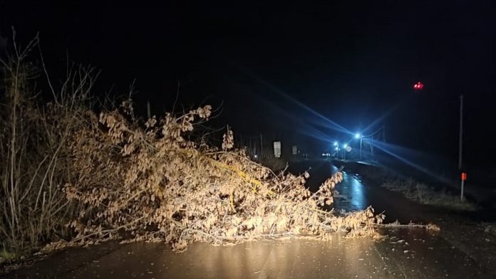 IMG-20241121-WA0046_новый размер