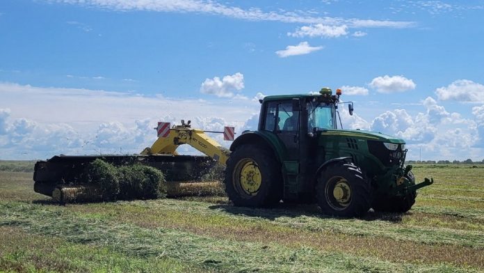 семена. Чучково. 22.07.2025