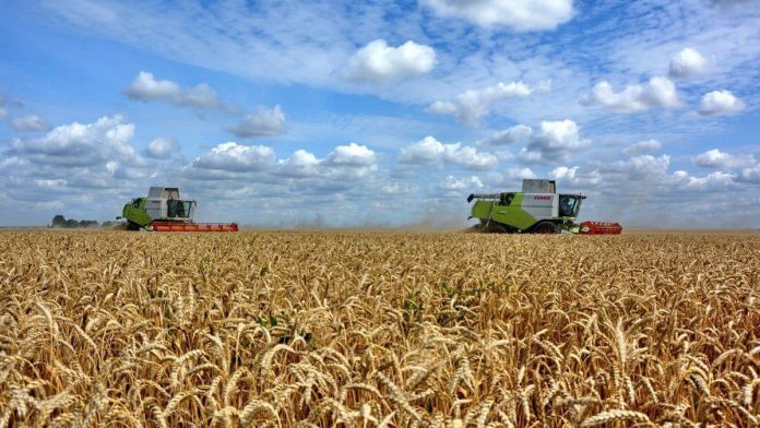 pole-pravitelstvo-13.08.2025