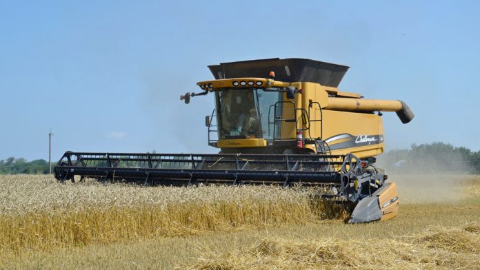 Комбайн уборочная. Чучково.13.08.25