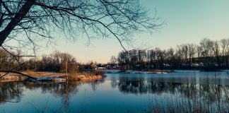 17 ноября в Рязанской области потеплеет