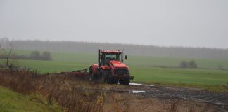 Чучковские хозяйства завершили сев озимых