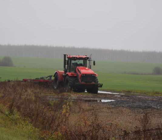 Чучковские хозяйства завершили сев озимых