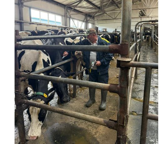 В Чучковском районе вакцинировали животных от лептоспироза, сибирской язвы и оспы