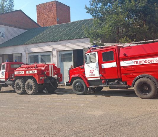 За 10 месяцев с начала года в Чучковском районе произошло 22 пожара