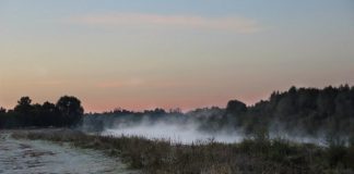 Туман и гололедицу обещают синоптики рязанцам в понедельник
