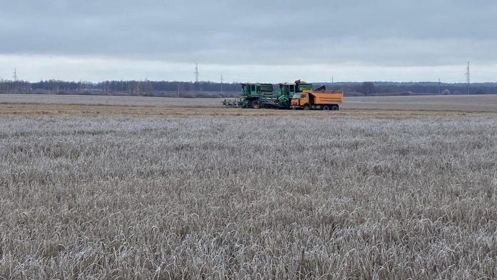 уборочная. Чучково. 3.12.2025