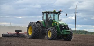 Чучковские аграрии увеличивают площади под масличными культурами