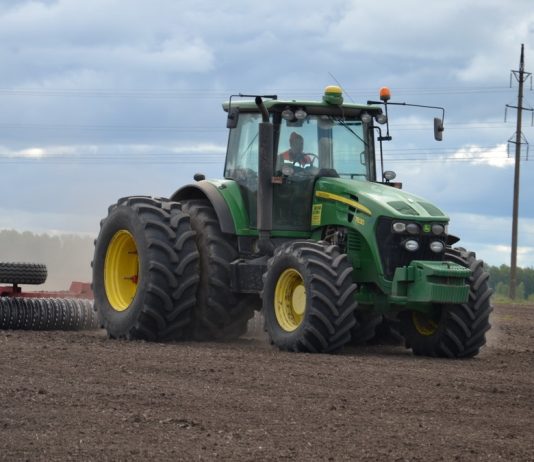 Чучковские аграрии увеличивают площади под масличными культурами