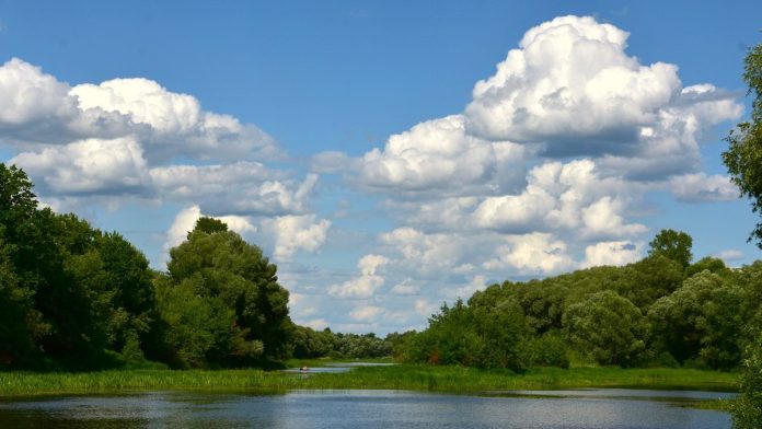01KV0Y29EDEEQQ89B7WTXKXRJ3