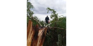 В Чучковском округе ликвидировали последствия воскресного урагана