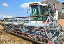 В Чучковском округе намолотили первые полторы тысячи тонн зерна