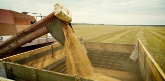 Два миллиона тонн зерна собрали рязанские аграрии