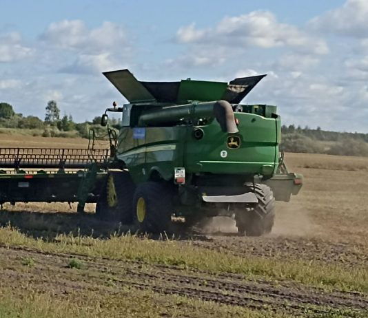 Урожай чучковских хлеборобов превысил 45 тысяч тонн зерна