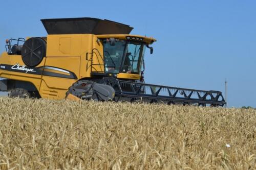 DSC 2634 новый-размер