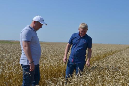 DSC 2644 новый-размер