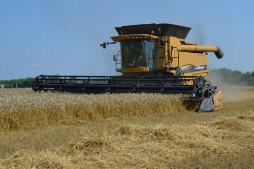 DSC 2673 новый-размер