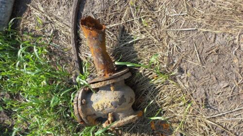 IMG 20220728 151254 374 новый-размер