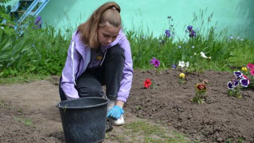 DSC 1300 новый-размер