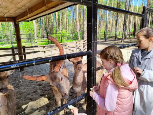 IMG-20220523-WA0010 ДДАДrДНДz-ДВДpДxДДuДВ