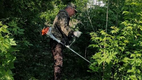 RvqN Shb-mw новый-размер