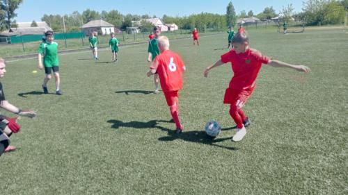 1000013032 новый-размер